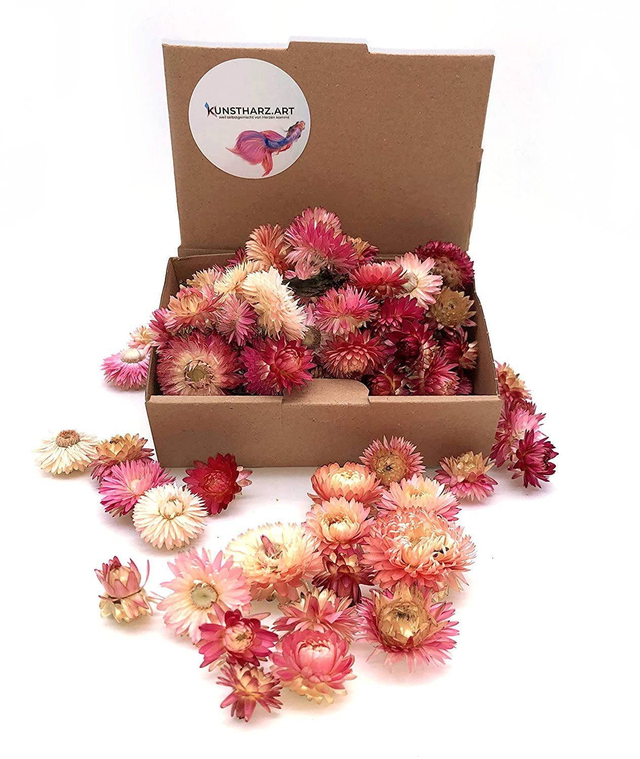 sortiert oder Helichrysum Trockenblume - Strohblumenköpfe gemischt farblich getrocknet: Rosa, Kunstharz.Art