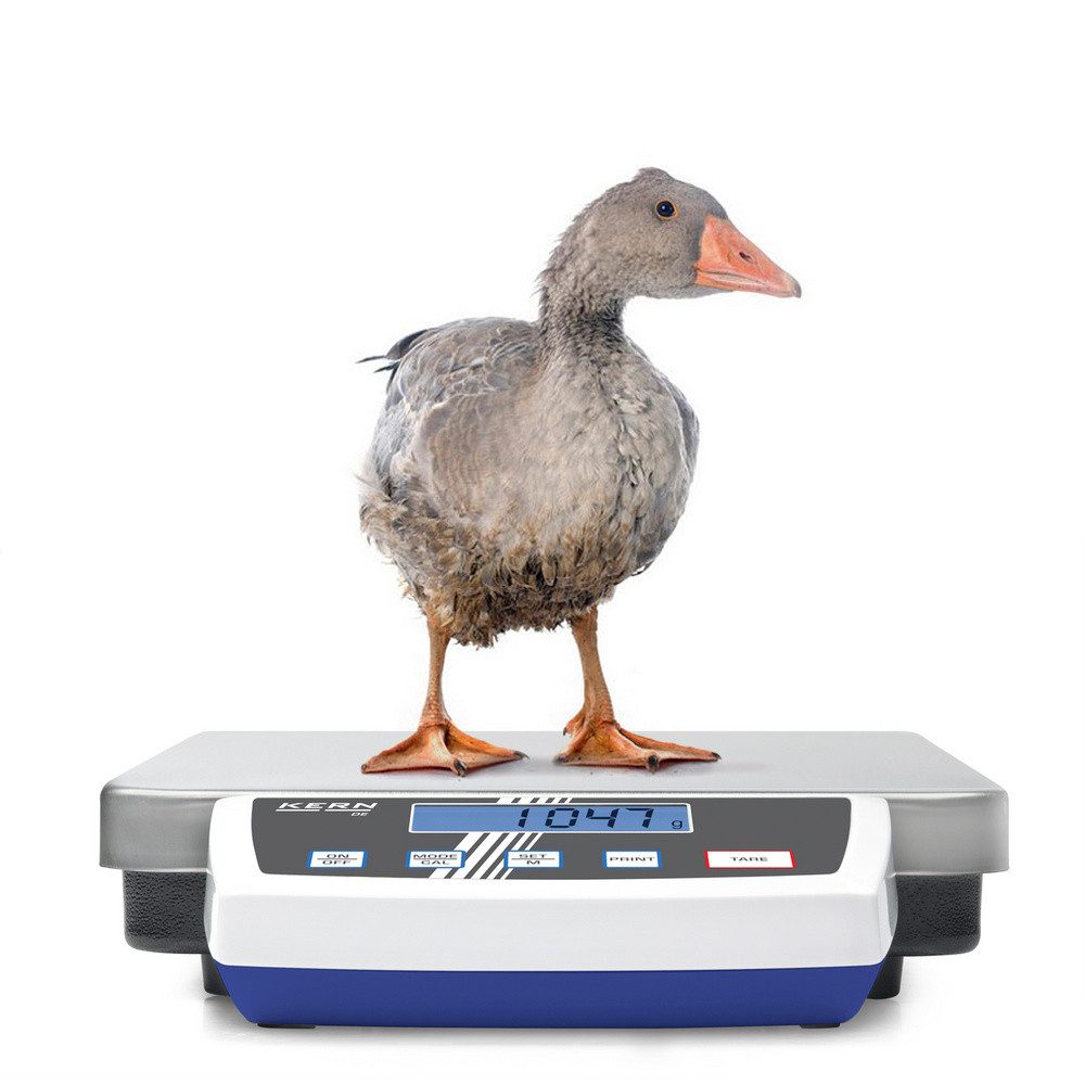 Kern Kofferwaage Kern Plattformwaage DE 35K5D Wägebereich (max) 35 kg Ablesbarkeit 5, (DE 35K5D)