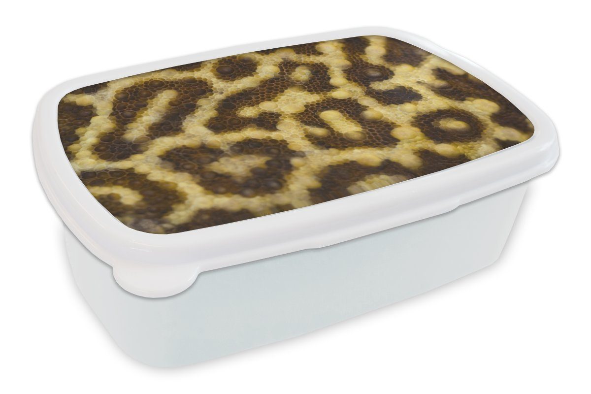 MuchoWow Lunchbox Nahaufnahme von Leopardenmustern, Kunststoff, (2-tlg), Brotbox für Kinder und Erwachsene, Brotdose, für Jungs und Mädchen weiß