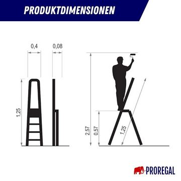 PROREGAL® Stehleiter Stufenstehleiter ECONOMY BASIC aus Stahl, 3 Stufen, Anthrazit