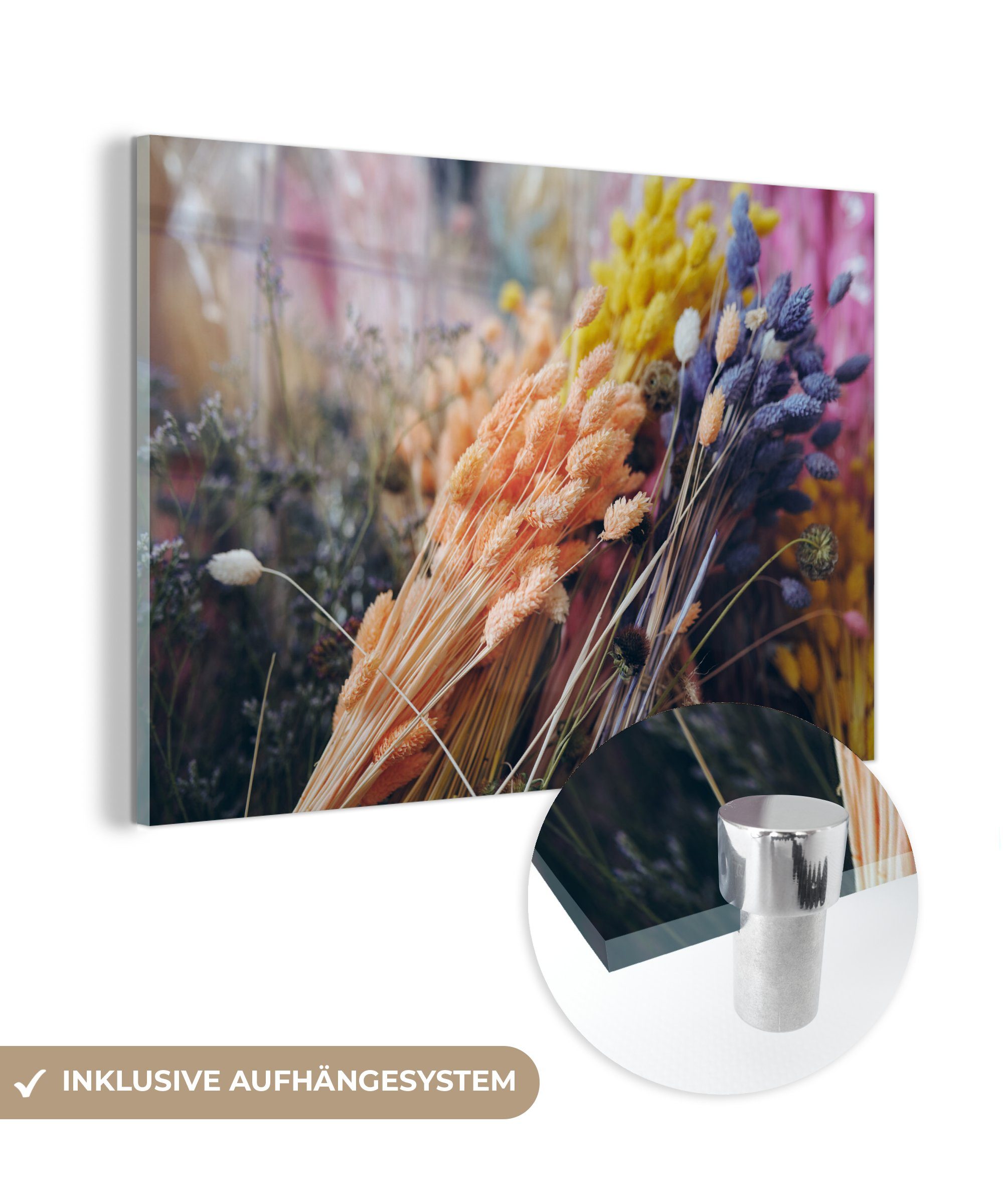 MuchoWow Acrylglasbild Getrocknete Blumen - Farben - Stilleben, (1 St), Glasbilder - Bilder auf Glas Wandbild - Foto auf Glas - Wanddekoration