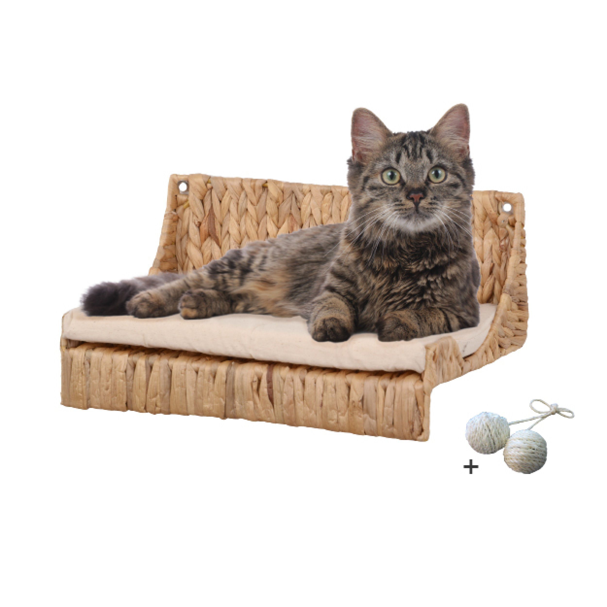 Rohrschneider Katzen-Kletterwand Katzenkletterwand Fenja Katzenstufen Wand Kletteretage Wasserhyzinthe