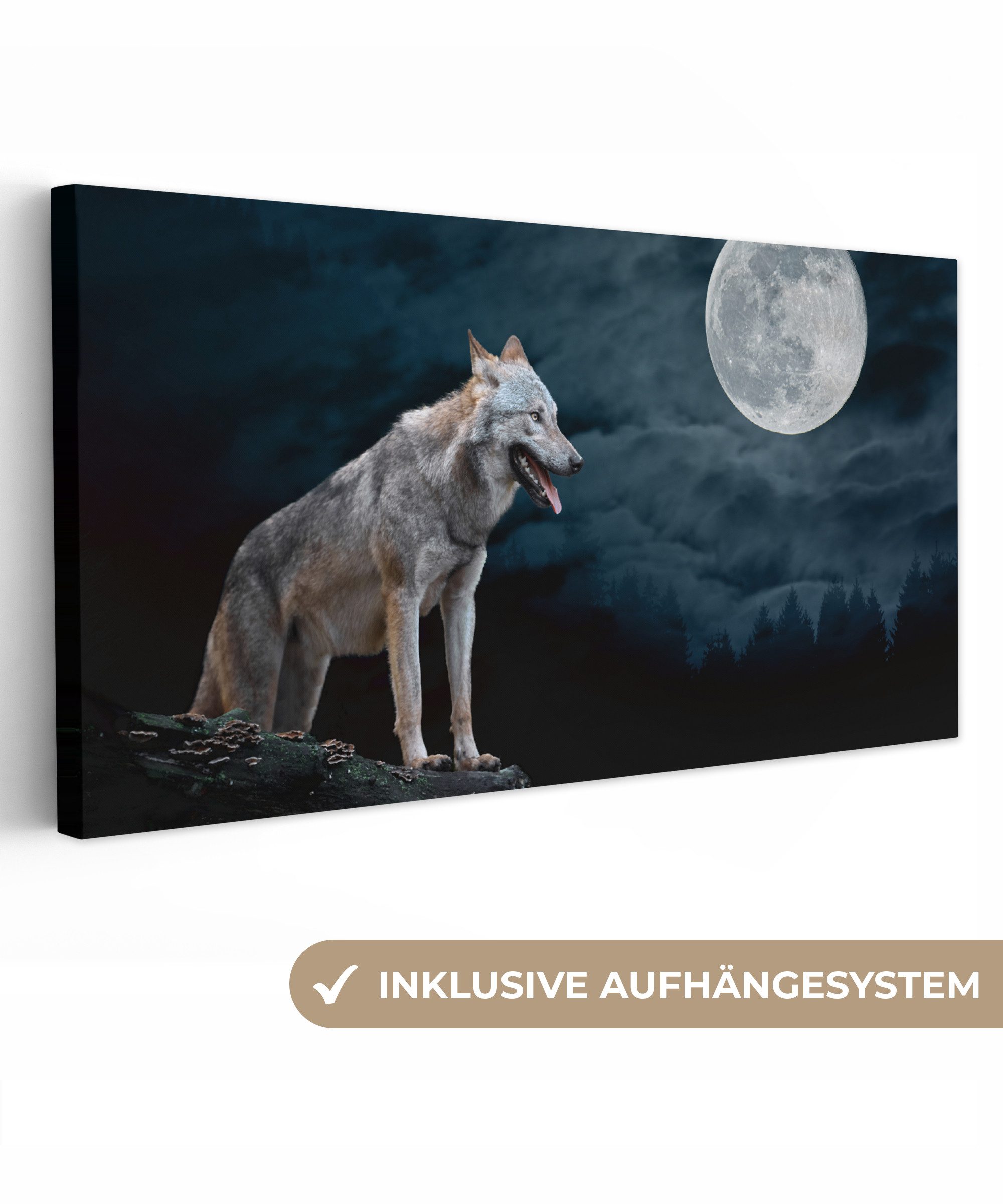 OneMillionCanvasses® Leinwandbild Panorama Wolf - Mond günstig online kaufen