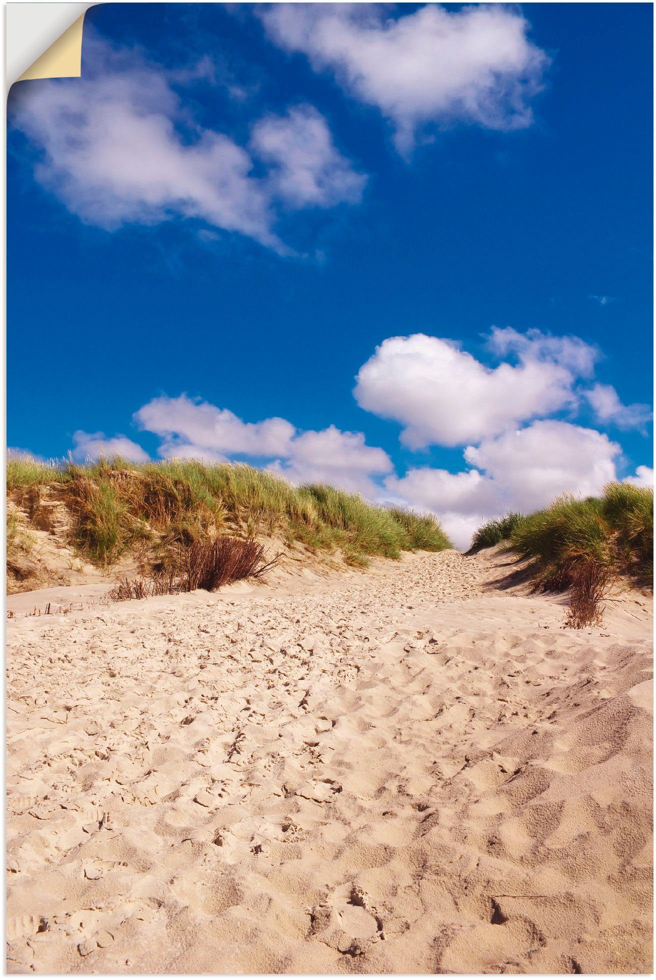 versch. Poster - als St), Küste Wandbild Dünenweg Größen Alubild, in Wandaufkleber Leinwandbild, (1 Insel Artland oder Amrum,