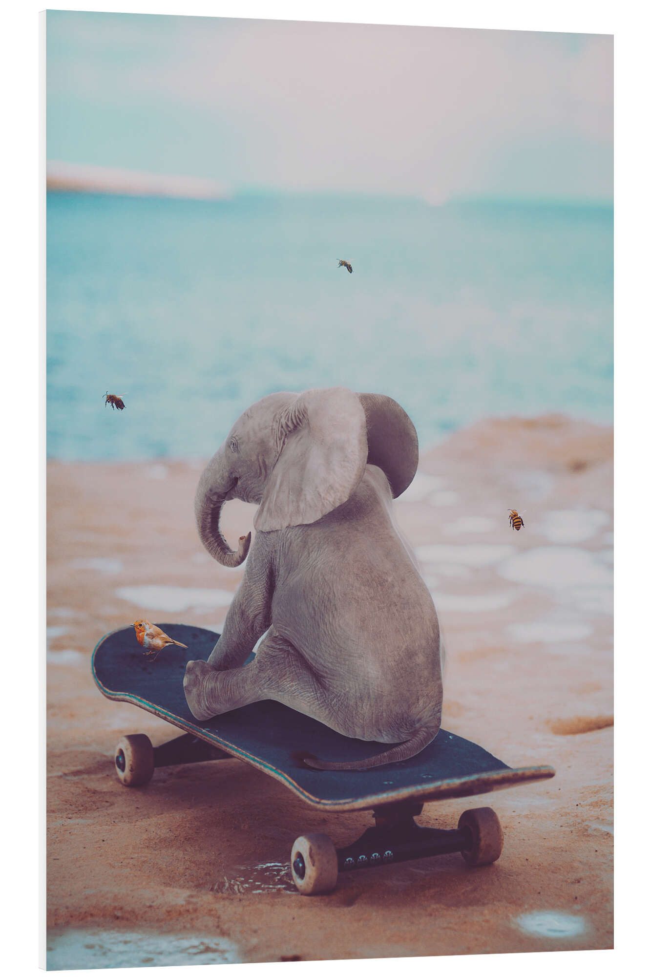 Posterlounge Wandbild Kleiner Elefant fährt Skateboard, Gen Z, erhältlich als Poster, Leinwandbild, Wandsticker oder Acrylglasbild