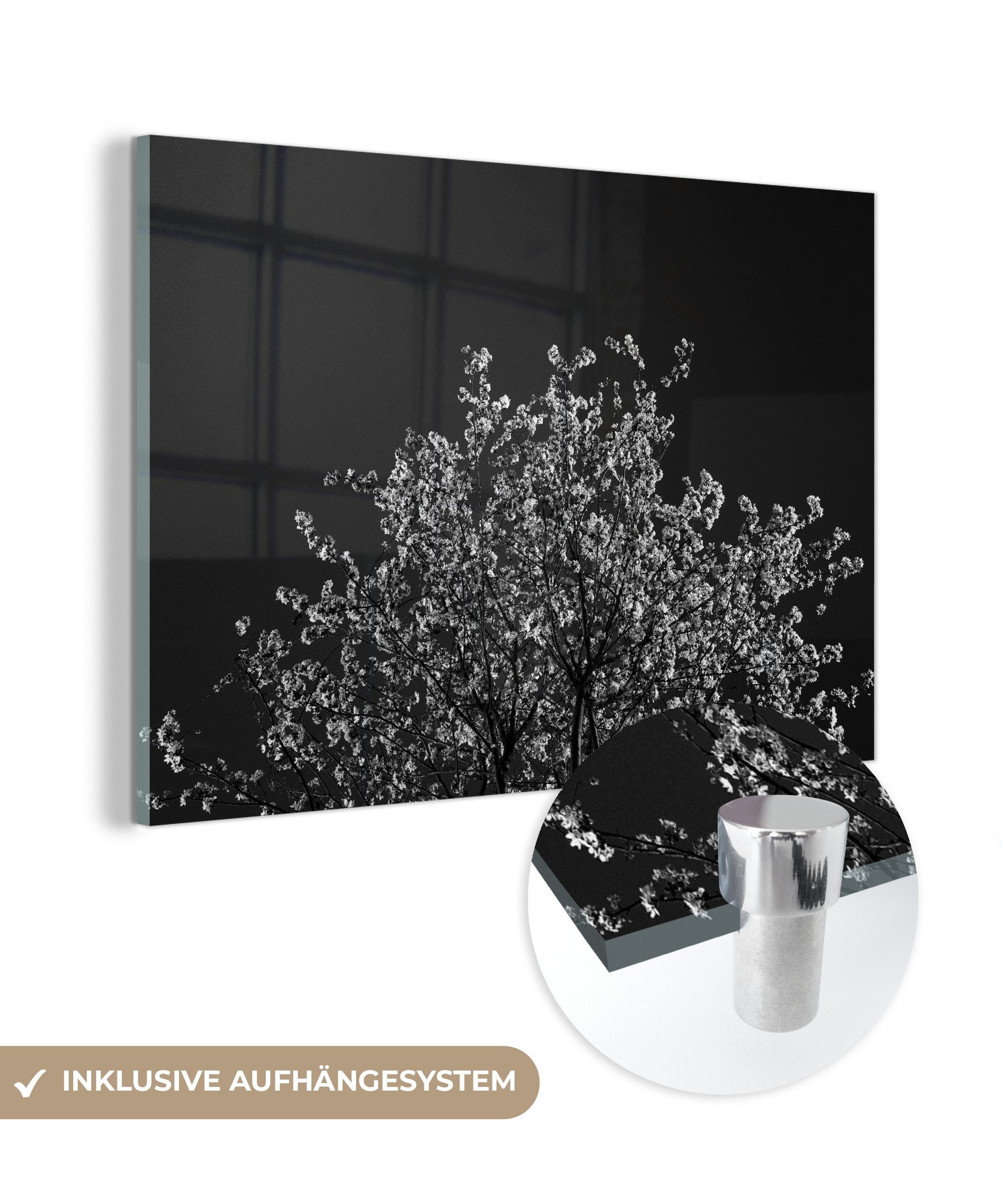MuchoWow Acrylglasbild Blumen - Baum - Zweige, (1 St), Acrylglasbilder Wohnzimmer & Schlafzimmer