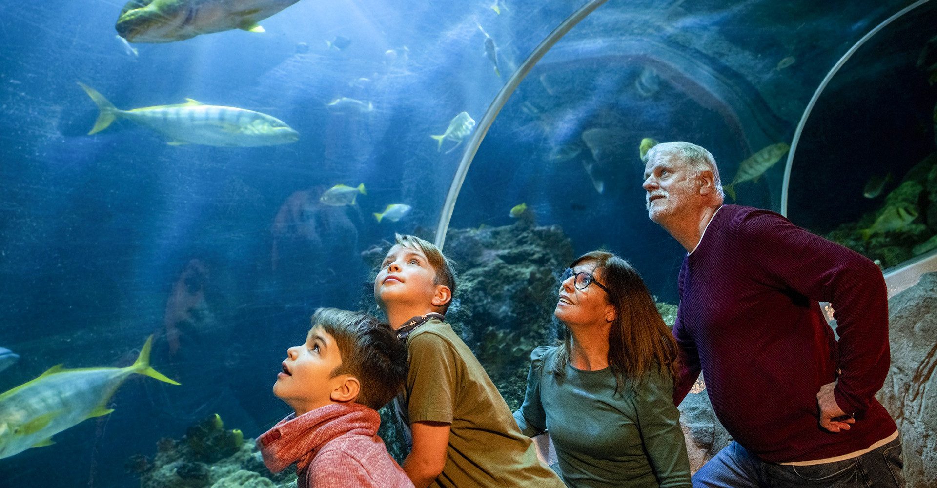 Erlebnisgutschein Sea Life Speyer