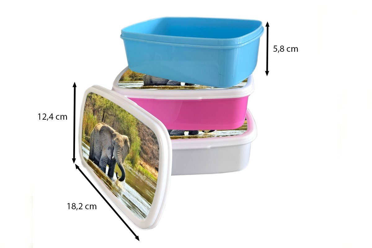 MuchoWow Lunchbox Elefant - Mädchen Tiere und Brotbox - Kunststoff, weiß - (2-tlg), Kinder für Brotdose, für Erwachsene, Jungs und Natur, Wasser