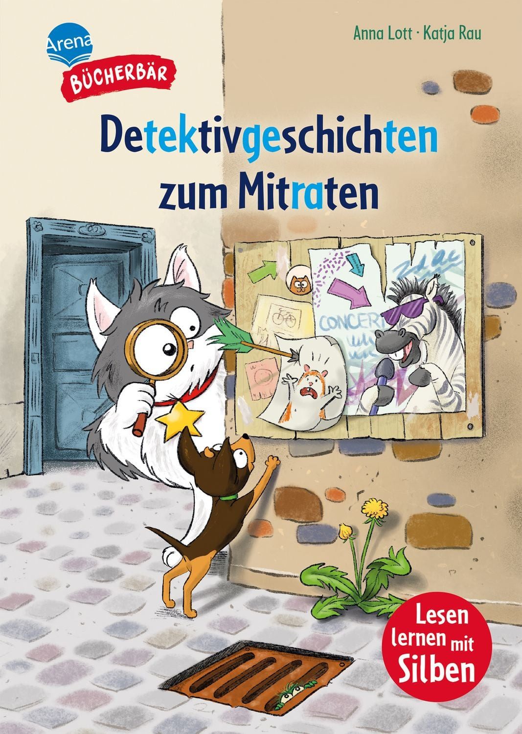 Detektivgeschichten zum Mitraten / Anna Lott