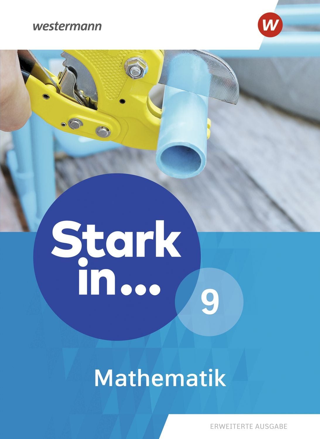 Stark in Mathematik - Erweiterte Ausgabe 2021 / diverse