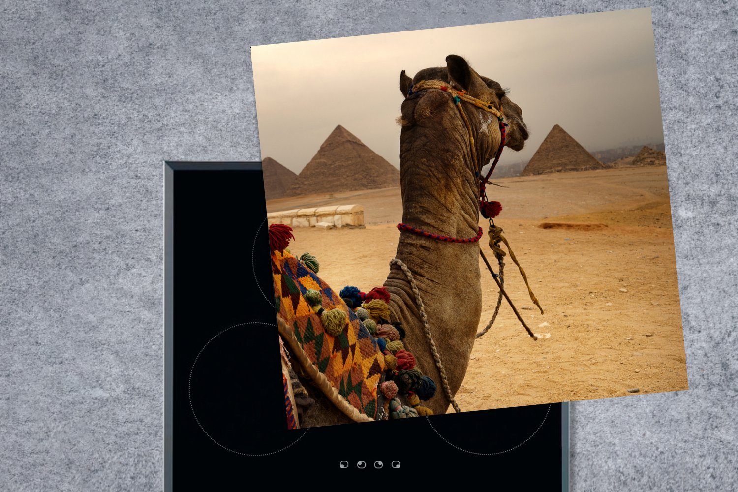 - tlg), MuchoWow (1 Arbeitsplatte Pyramide, Kamel 78x78 Herdblende-/Abdeckplatte küche Vinyl, Ägypten - cm, für Ceranfeldabdeckung,