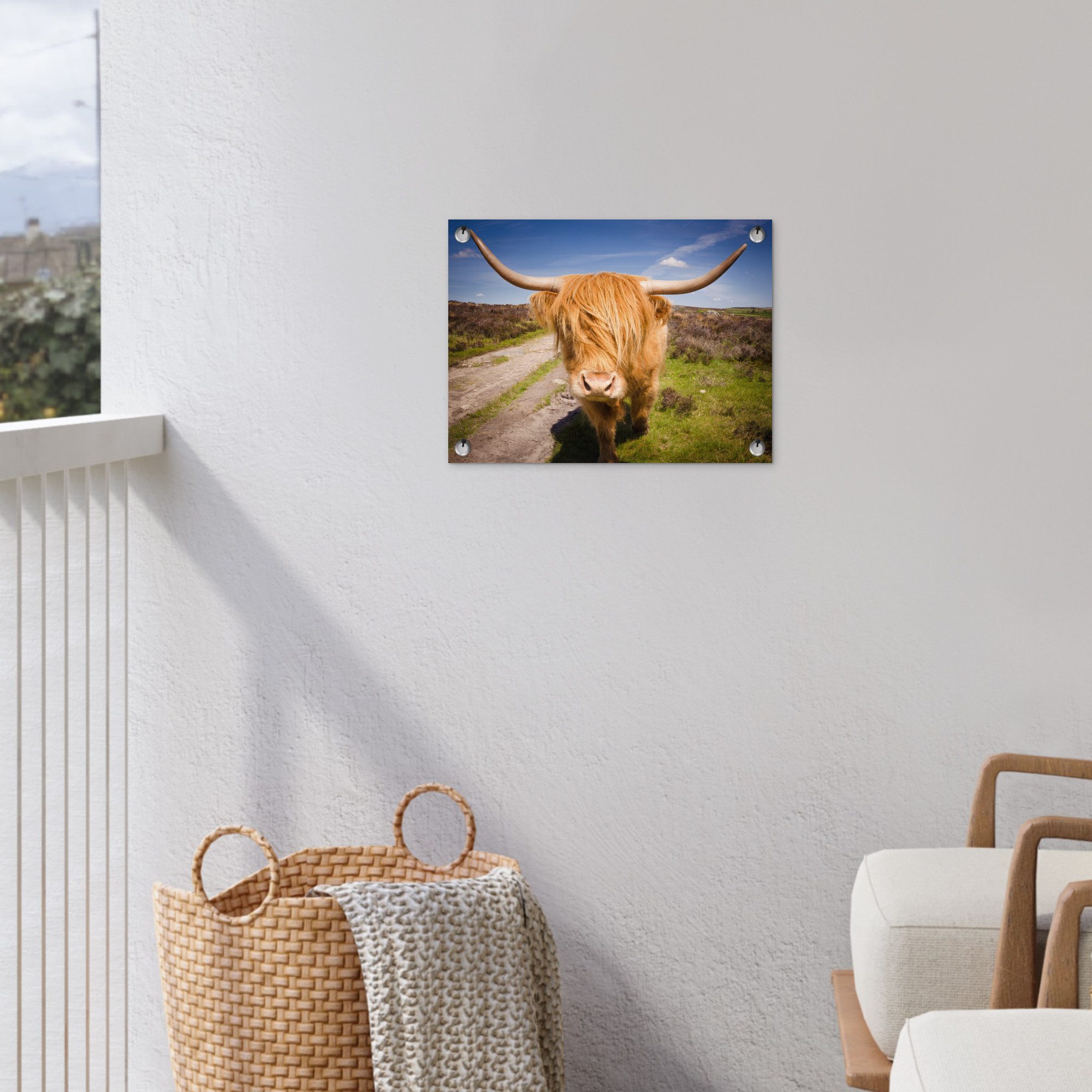 OnlyWow Poster für Garten Schottischer Highlander - Licht - Wiese, Gartenposter, Outdoor Bilder, Gartendekoration Bild, 40x30 cm