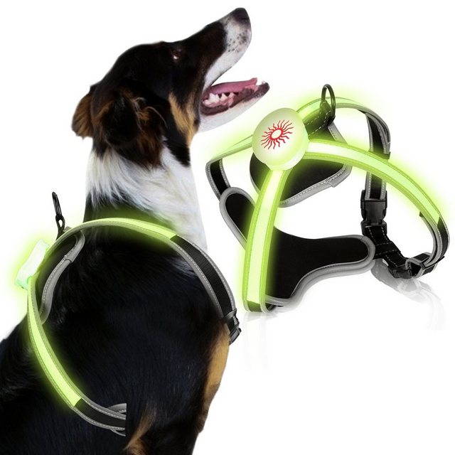 Clanmacy Hunde-Geschirr “Hundegeschirre LED Verstellbar Welpen-Geschirr Atmungsaktiv Hunde Brustgeschirr L”