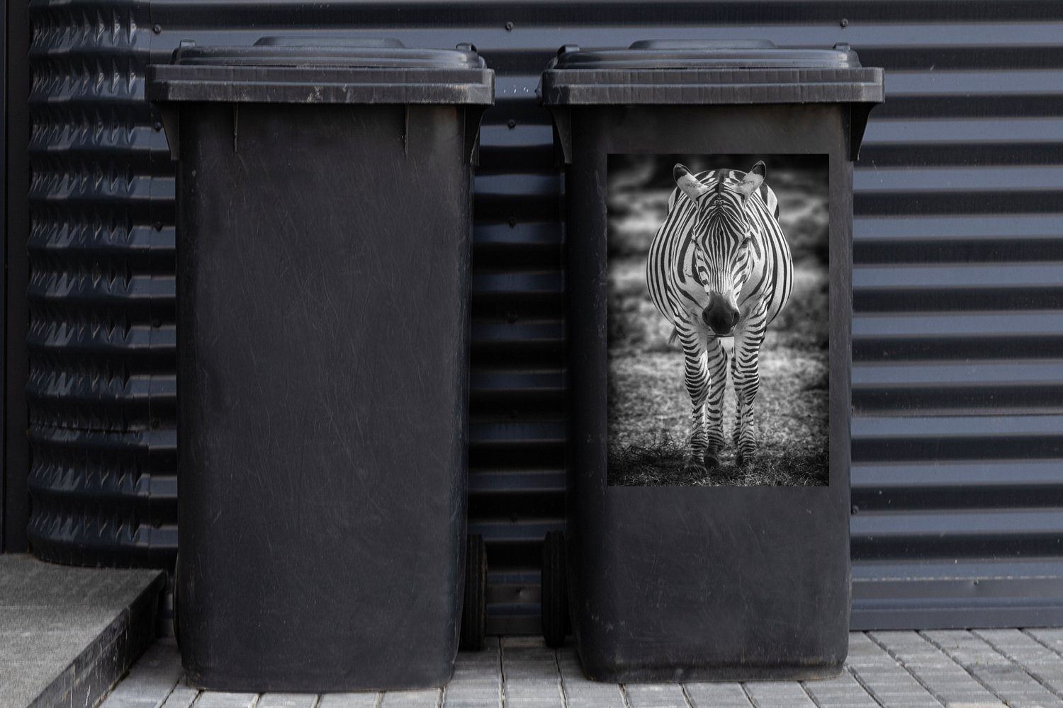 Abfalbehälter Wandsticker MuchoWow im Mülleimer-aufkleber, St), Mülltonne, Gras (1 Zebra Sticker, Container,