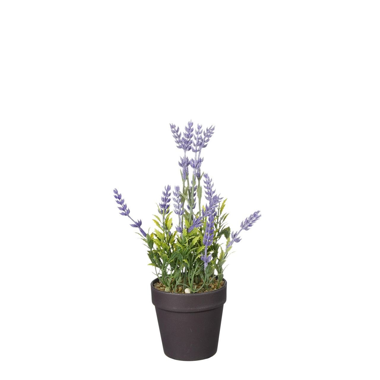 Kunstpflanze Mica künstlicher Lavendel im violett x Decorations Topf 10, 24 Mica