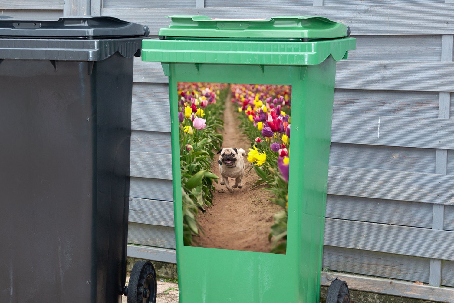 (1 Mülltonne, Wandsticker Container, Mülleimer-aufkleber, St), Abfalbehälter Sticker, MuchoWow Blumen - - Mops Tulpen