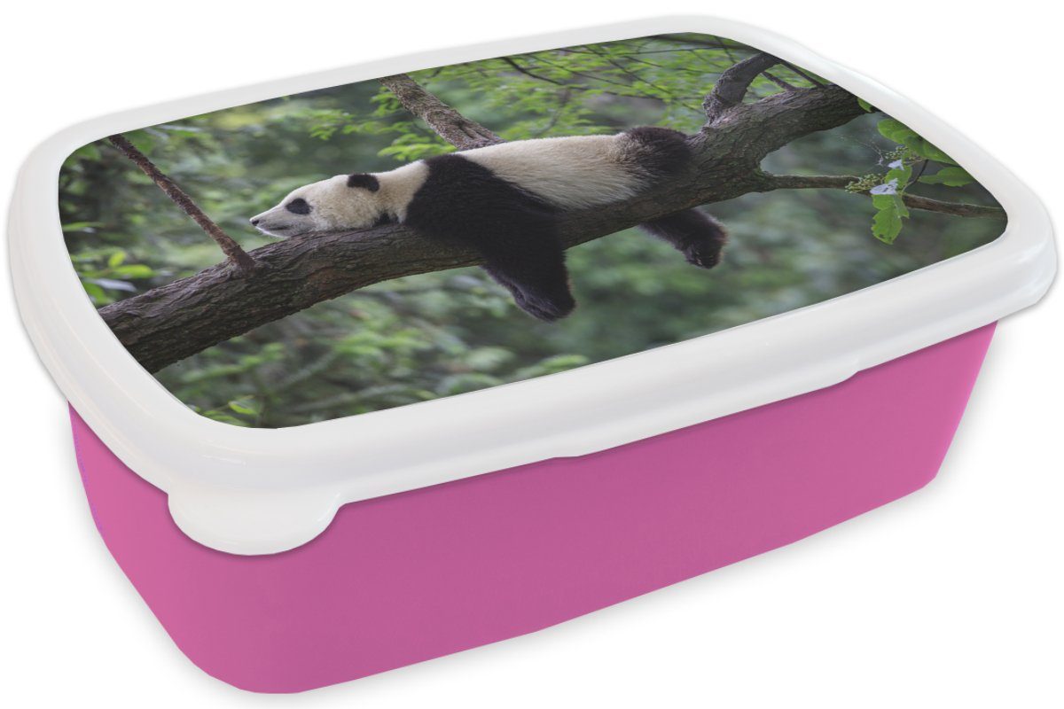 Baum Mädchen, für Panda Brotbox Erwachsene, Snackbox, - Natur, Brotdose Kunststoff rosa Tiere Lunchbox Kinder, (2-tlg), MuchoWow Kunststoff, - -