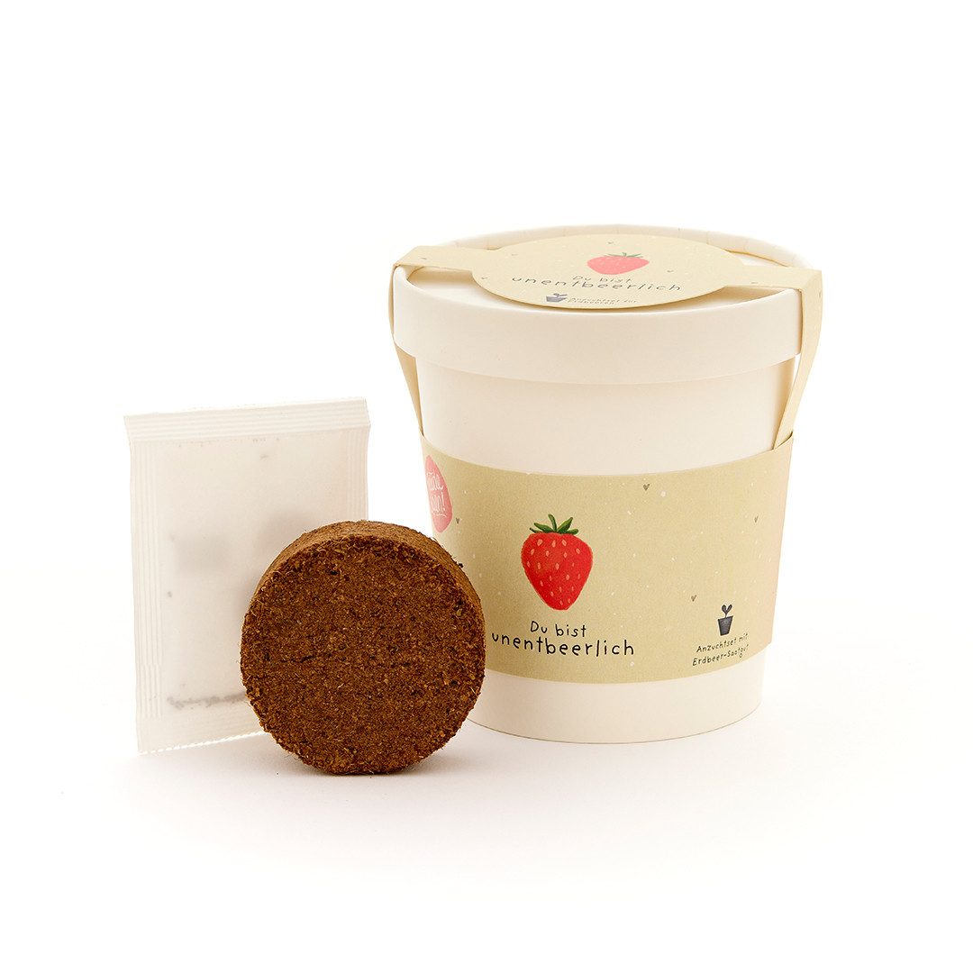 Die Stadtgärtner Anzuchttopf Erdbeer-Anzuchtset als liebevolles Geschenk, Geschenkidee (1 St)