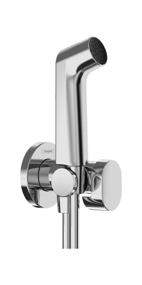 hansgrohe Handbrause günstig online kaufen