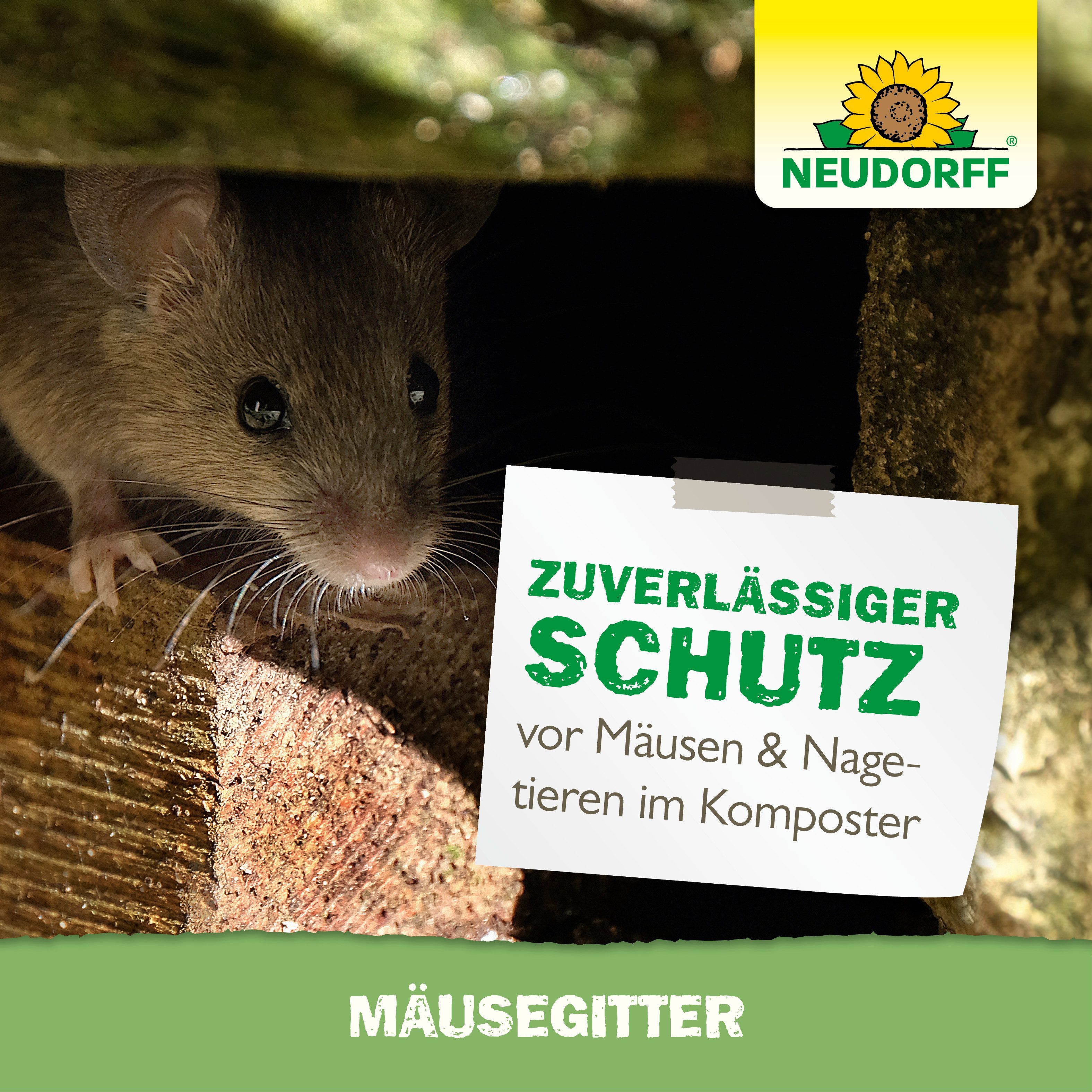 Neudorff Mäusegitter für den Neudorff Thermokomposter, Mechanischer Schutz für den Bodenbereich des Komposters, Grundfläche 81,5 x 81,5 cm, Stabiles Bodengitter – Bild 5 von 5