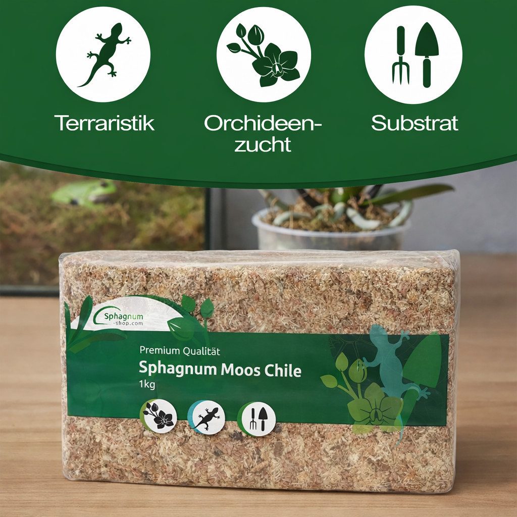 sphagnum-shop.com Terrarien-Substrat Sphagnum Moos aus Chile für Terrarium und Orchideen, Chilenische Premium-Qualität; Ideal für Pflanzenpflege & Terraristik