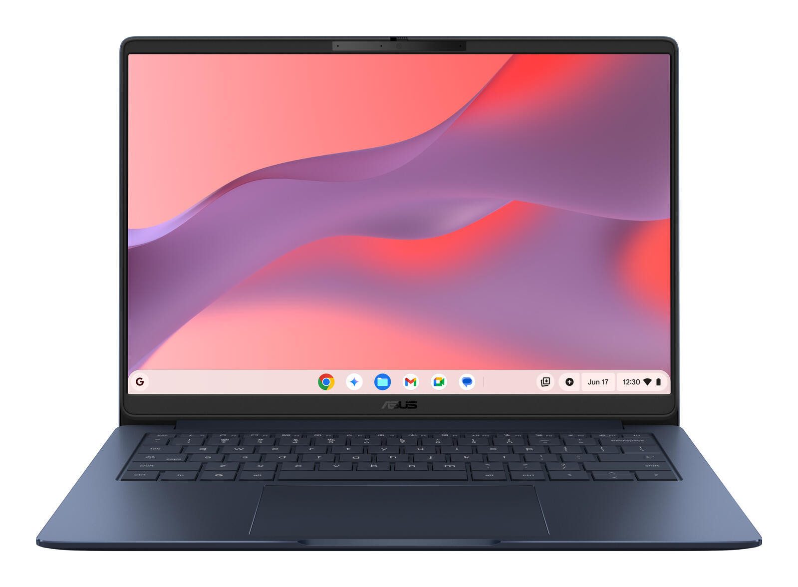 Asus CM1406CM4A-LY0051 Chromebook (8 GB)