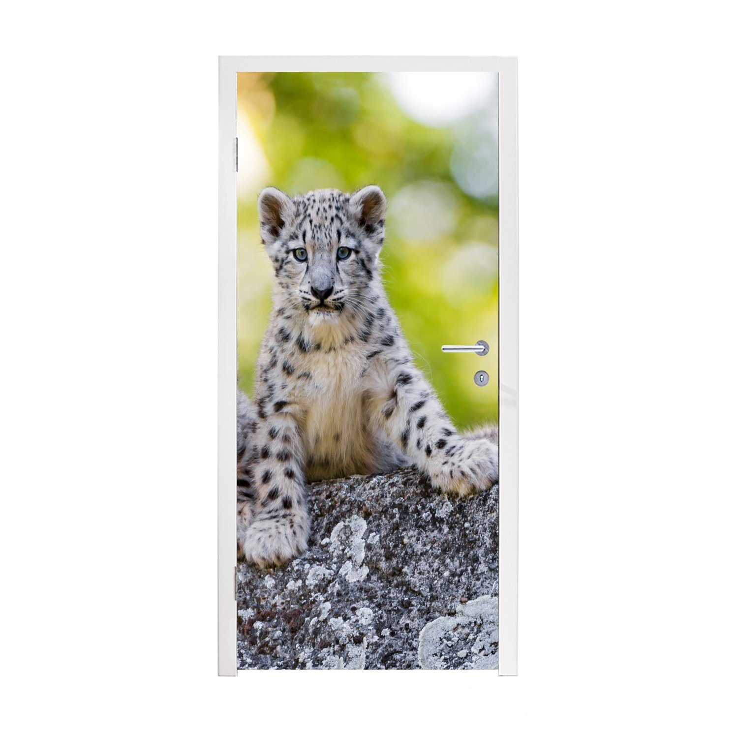 MuchoWow Türtapete - (1 Jungtiere Türaufkleber, Leopard Tür, Matt, cm bedruckt, Fototapete St), - Steine, für 75x205