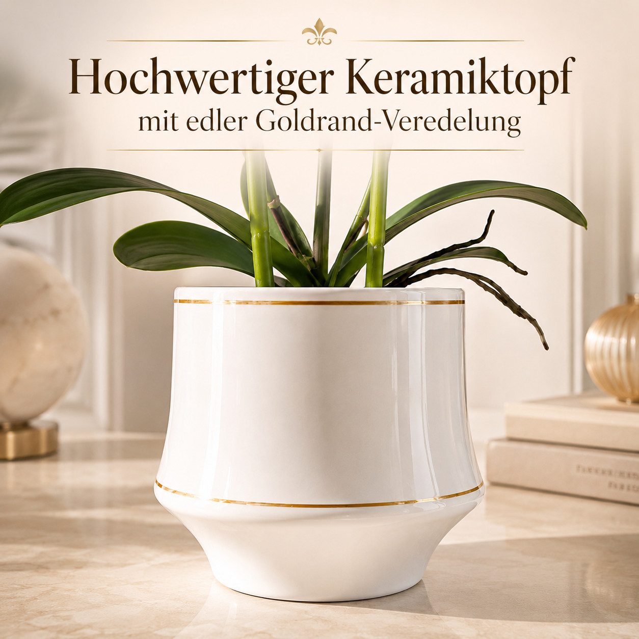 Kunstorchidee PASCH® Orchidee künstlich wie echt in Hochglanz-Keramiktopf Orchidee, PASCH, Hochglanz Keramiktopf – Bild 4 von 5
