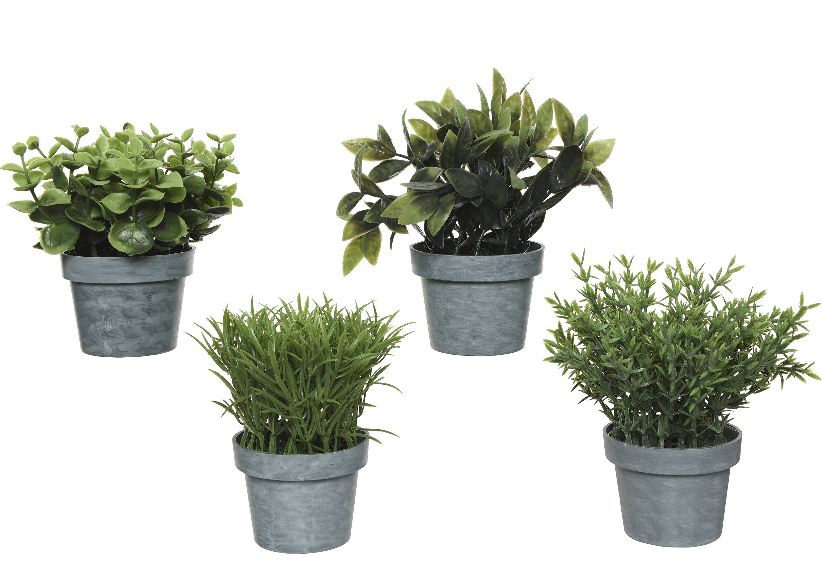 Kunstpflanze, Decoris season decorations, Kunstpflanze im Topf 13cm, 1 Stück sortiert. € 8,69, (€ 8,69 pro 1 Stk).