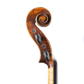 Stentor Violine, Violinen / Geigen, Akustische Violinen, 4/4 Violine Elysia - Violine