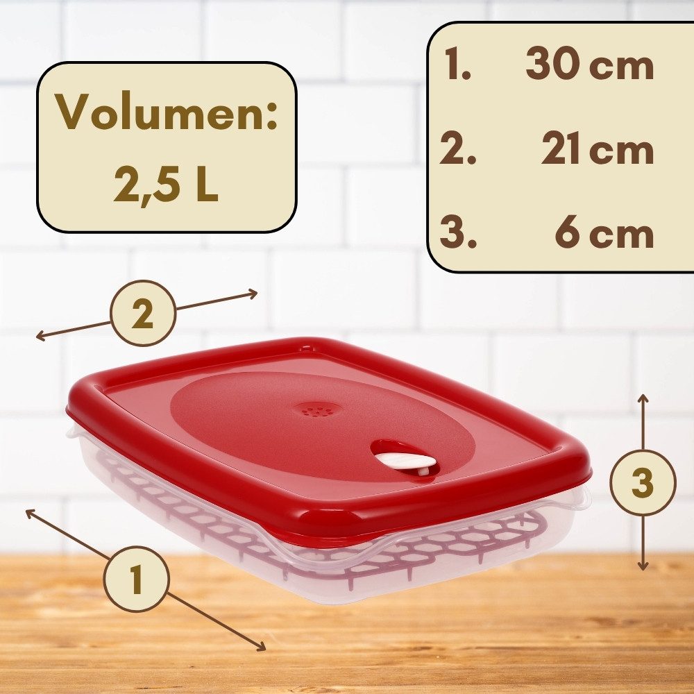 GarPet Frischhaltedose 4er Set Frischhaltedosen mit Deckel Abtropfgitter Gefrierdosen 2,5 L – Bild 2 von 5