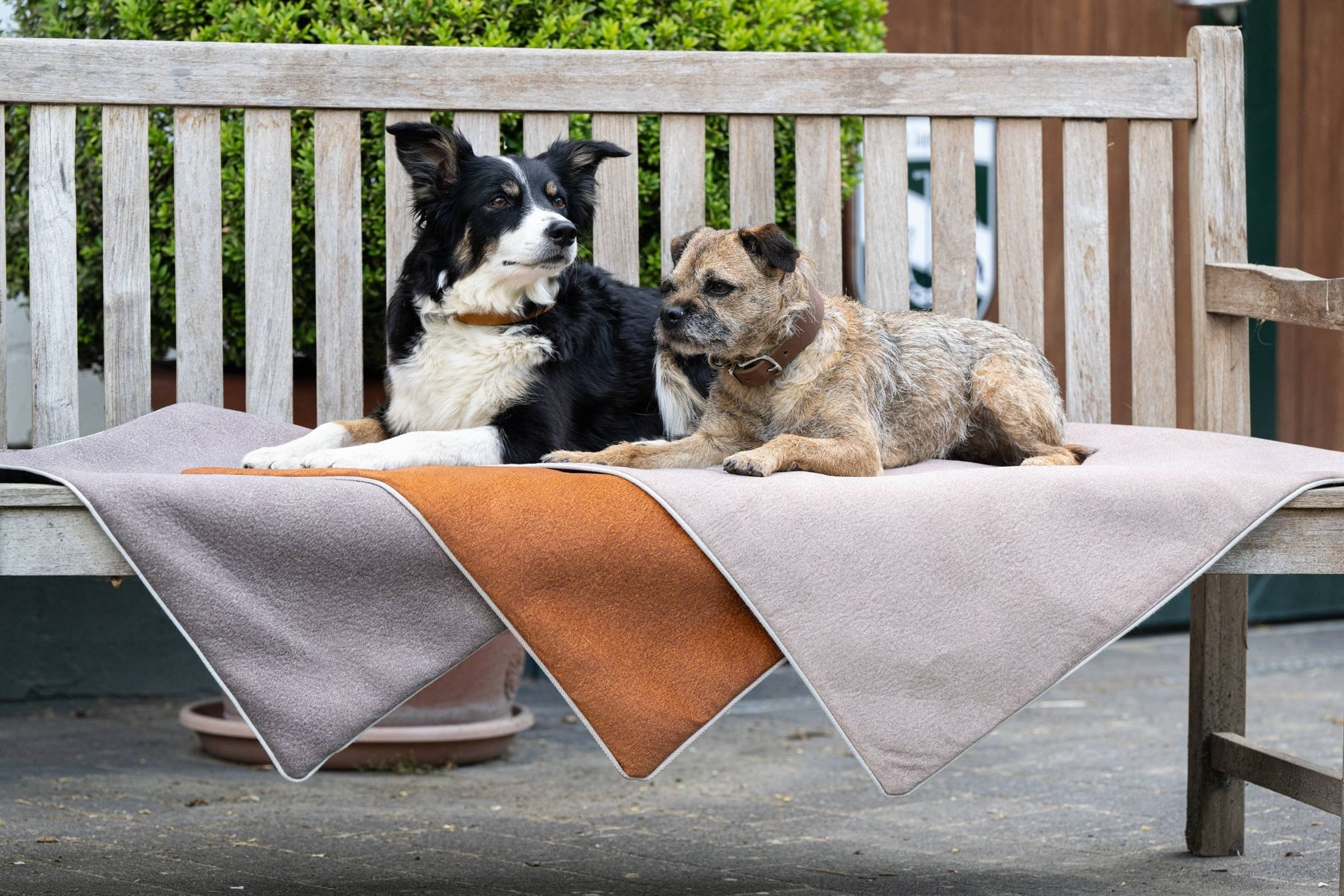 Laboni Tierbett Laboni Hundedecke BUFFALO - Reisedecke Multifunktions-Decke für Hunde