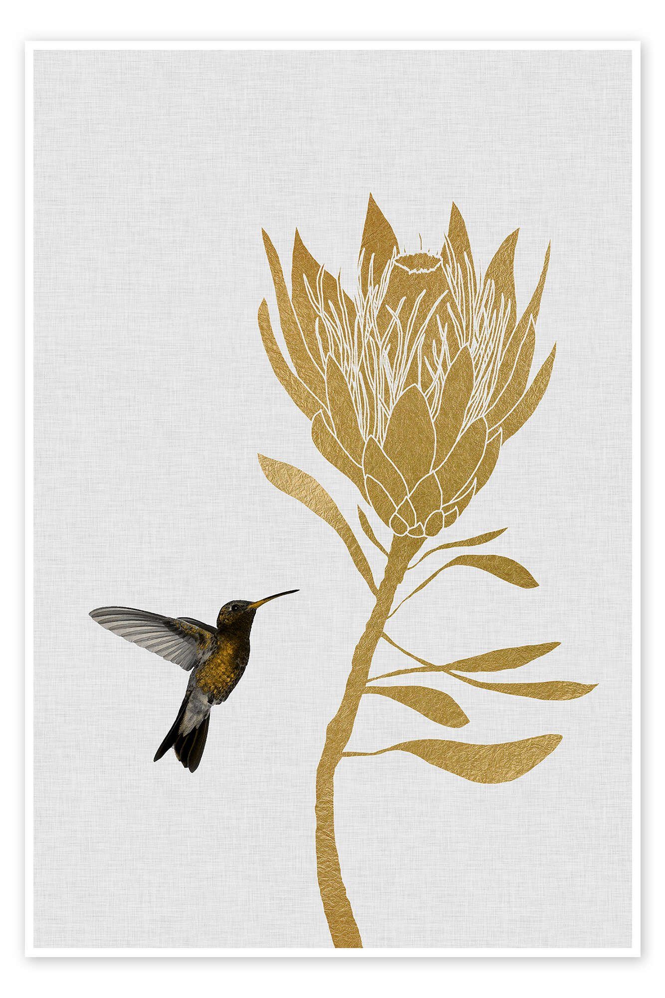 Posterlounge Wandbild Kolibri & Blume I, Orara Studio, erhältlich als Poster, Leinwandbild, Wandsticker oder Acrylglasbild
