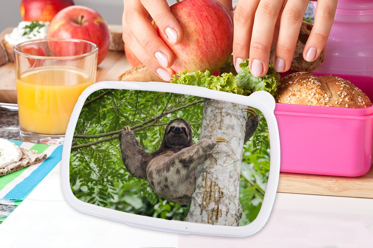 Faultier Brotdose Lunchbox Mädchen, Ein einen MuchoWow klettert grüner auf Kinder, Kunststoff, Umgebung, Kunststoff Baum Snackbox, Erwachsene, (2-tlg), rosa in für Brotbox