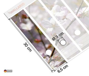 Wallario Etiketten Kirschblüten in zartem Rosa - Frühling im Garten, Ordnerrücken-Sticker in verschiedenen Ausführungen