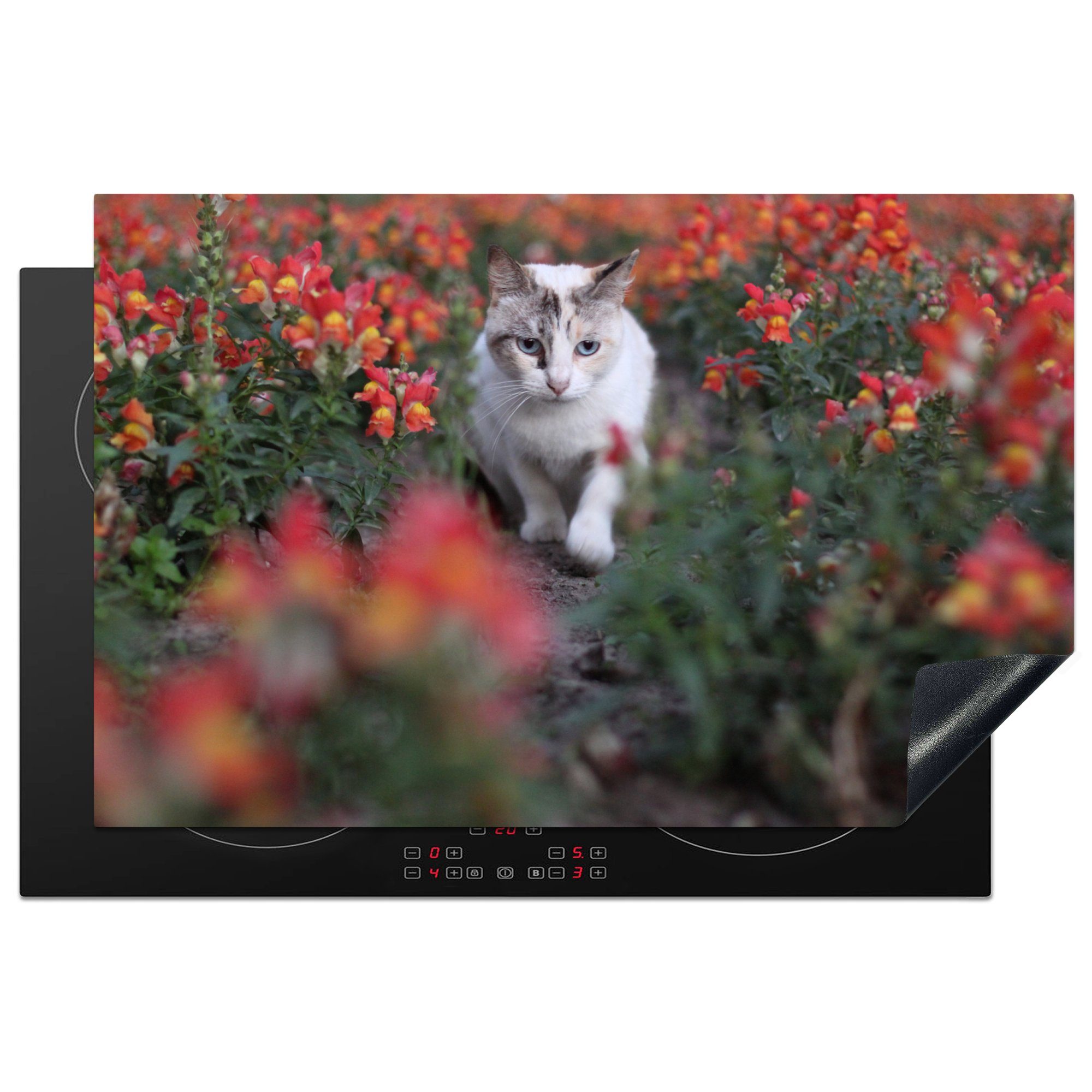 MuchoWow Herdblende-/Abdeckplatte Katze inmitten der Vinyl, küche, cm, Blumen, für Schutz (1 die tlg), Induktionskochfeld Ceranfeldabdeckung 81x52