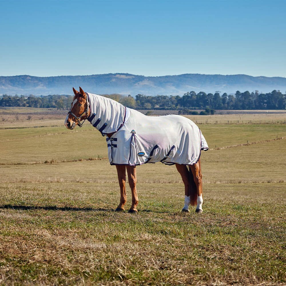 Pferde-Fliegendecke Weatherbeeta Comfitec Airflow Fly Sheet Combo