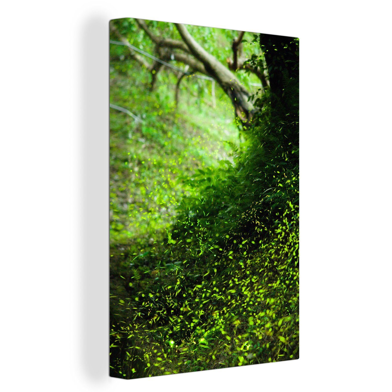 Glühwürmchen 20x30 Zackenaufhänger, inkl. Leinwandbild einer Gemälde, der OneMillionCanvasses® cm grünen St), (1 Landschaft Tageslichtstunden, während bespannt in fertig Leinwandbild