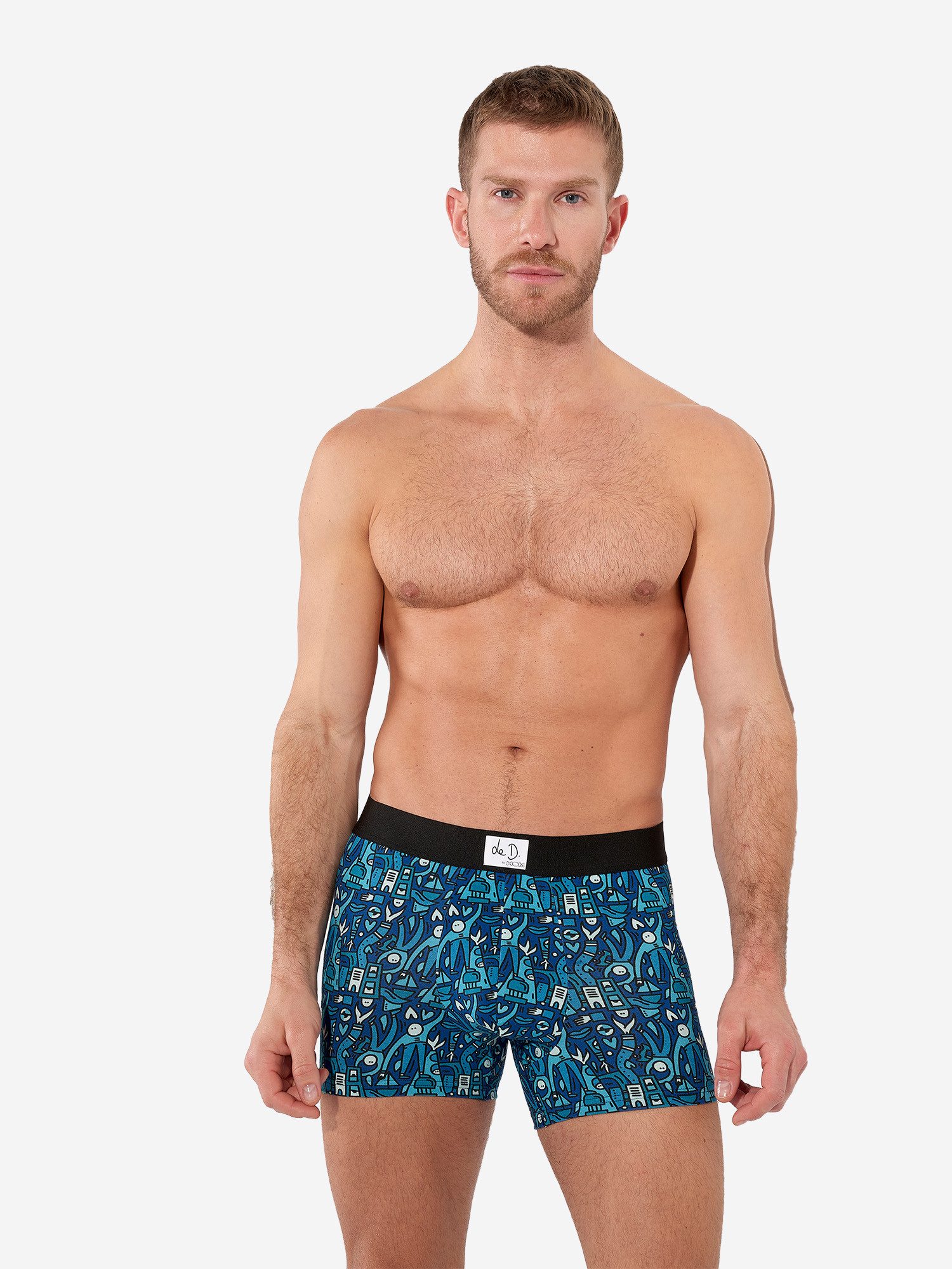 Retro Boxer Voyages Boxer Briefs