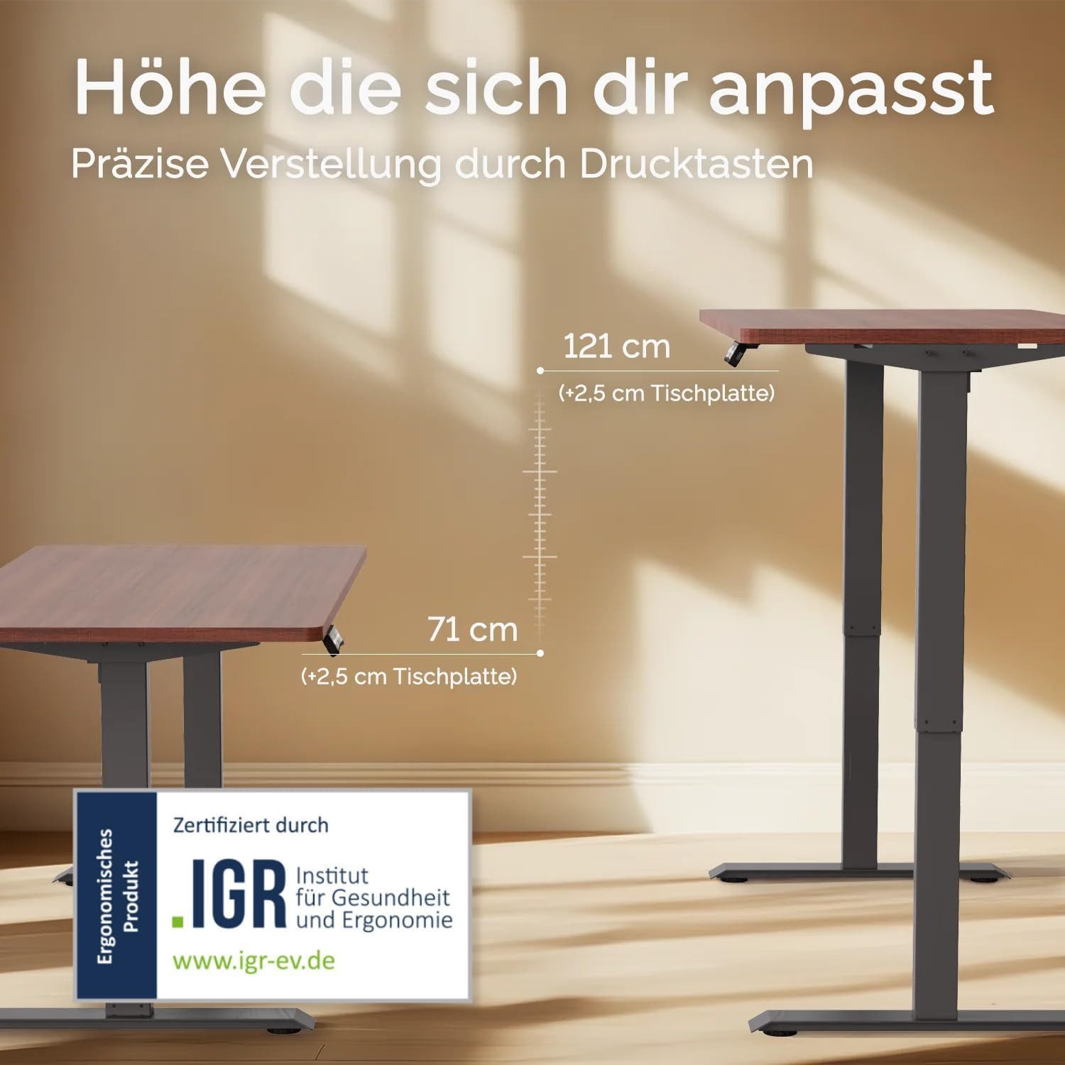 DESKSPACE Schreibtisch Pro Elektrisch höhenverstellbarer Schreibtisch günstig online kaufen