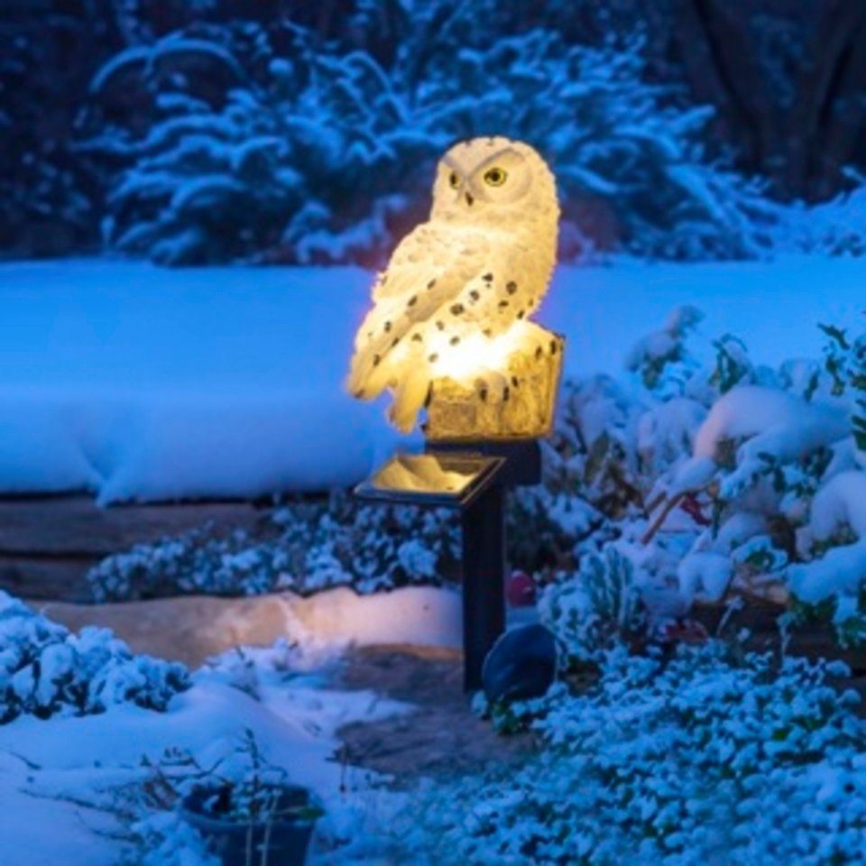 Haushalt International Gartenstecker LED Solar Schneeeule günstig online kaufen