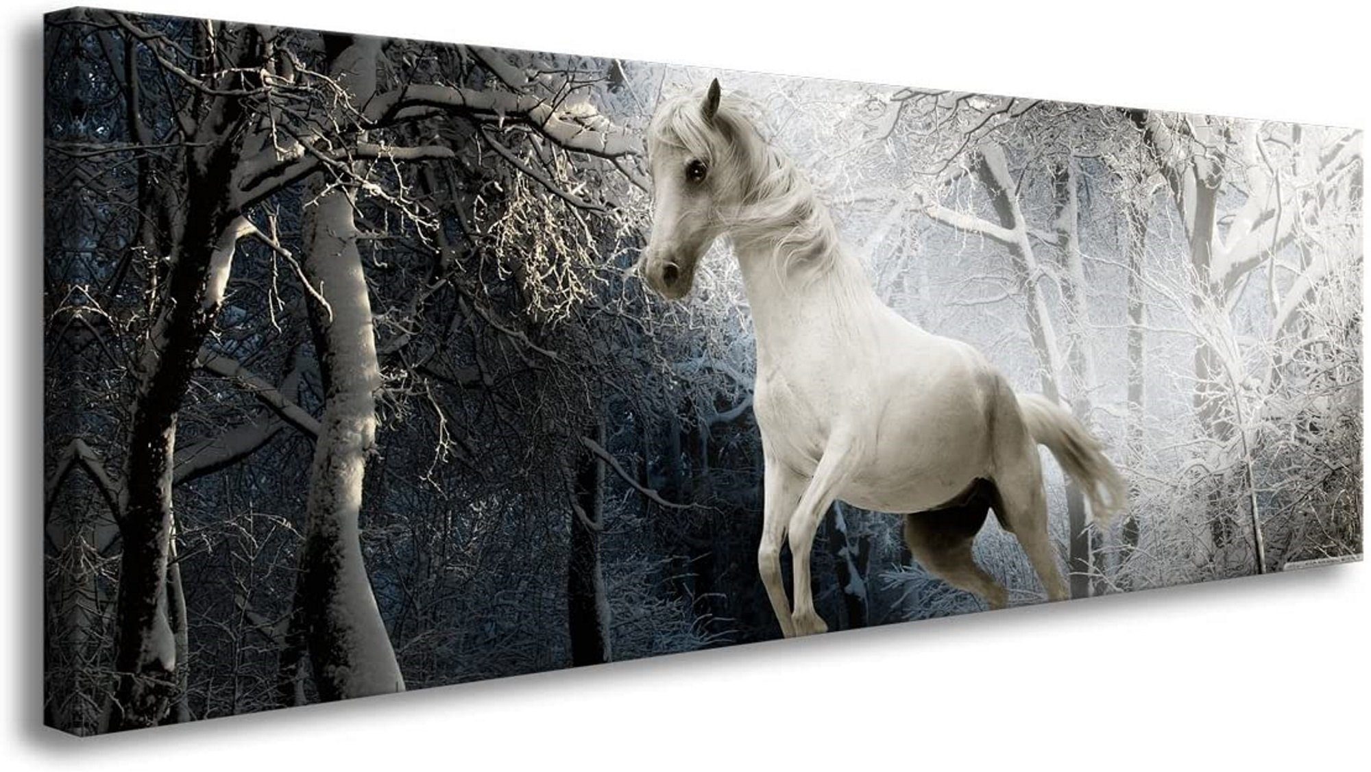 Visario Leinwandbild 1-teiliges Bild auf Leinwand fertig gerahmt Maße 120 x 40 cm, 5739