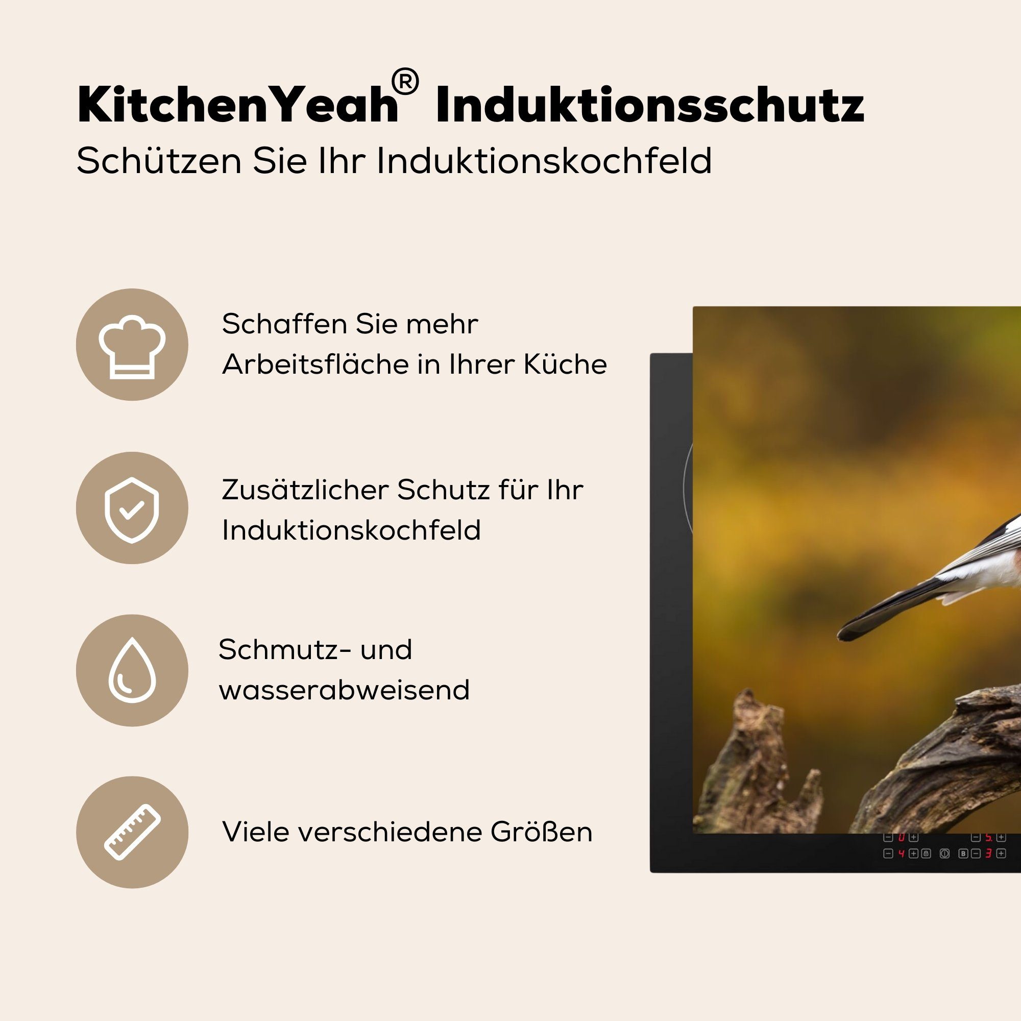 MuchoWow Herdblende-/Abdeckplatte Vogel - Ceranfeldabdeckung, für Arbeitsplatte - cm, küche 81x52 tlg), Vinyl, (1 Zweig Eichelhäher