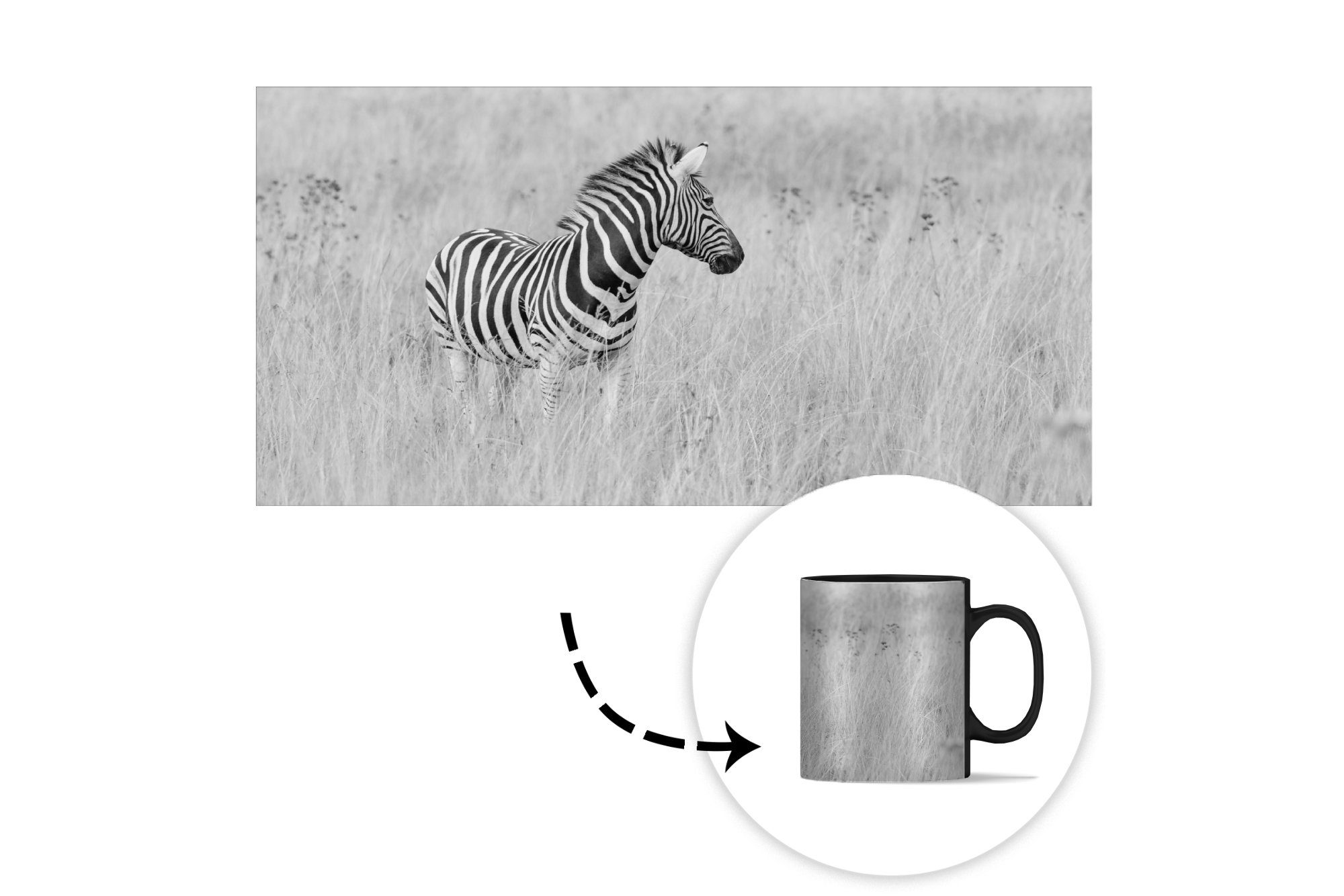 Zebra Tasse Kaffeetassen, Keramik, Zaubertasse, MuchoWow Geschenk Wiese, der Teetasse, auf Farbwechsel,