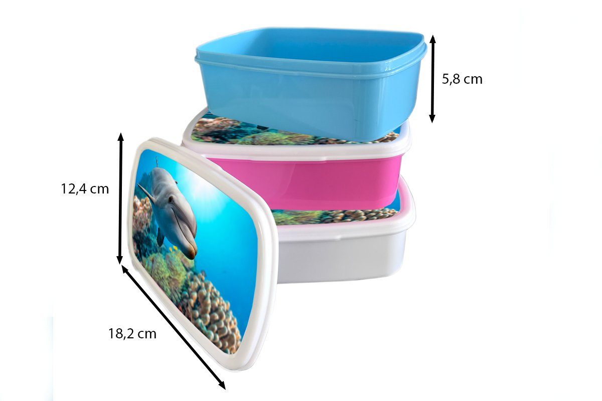 MuchoWow Lunchbox Delfin - Meer für und und Koralle, Kunststoff, Erwachsene, Brotbox - (2-tlg), Mädchen weiß Kinder für Jungs Brotdose