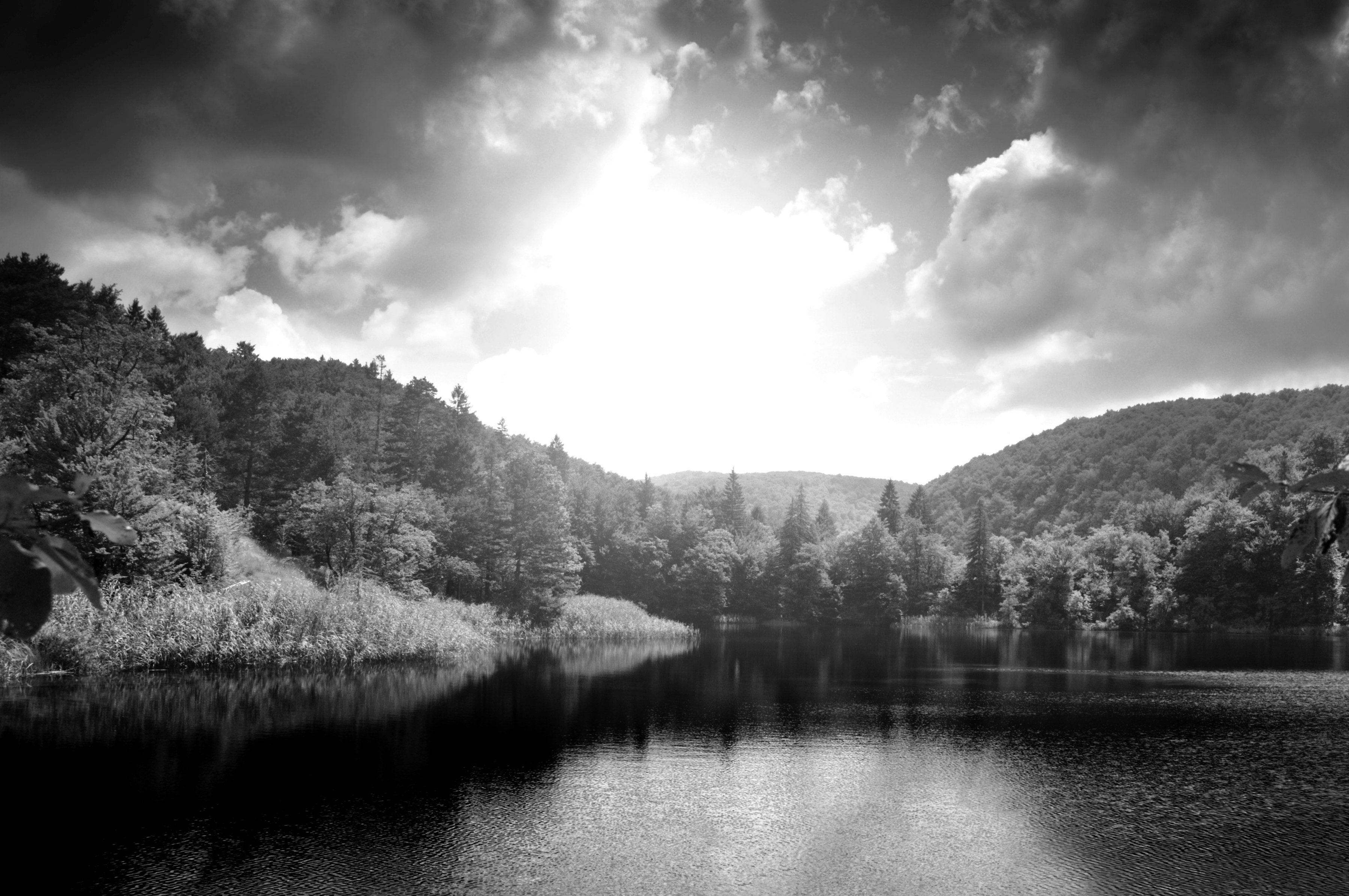 Papermoon Landschaft & Weiß Fototapete Schwarz