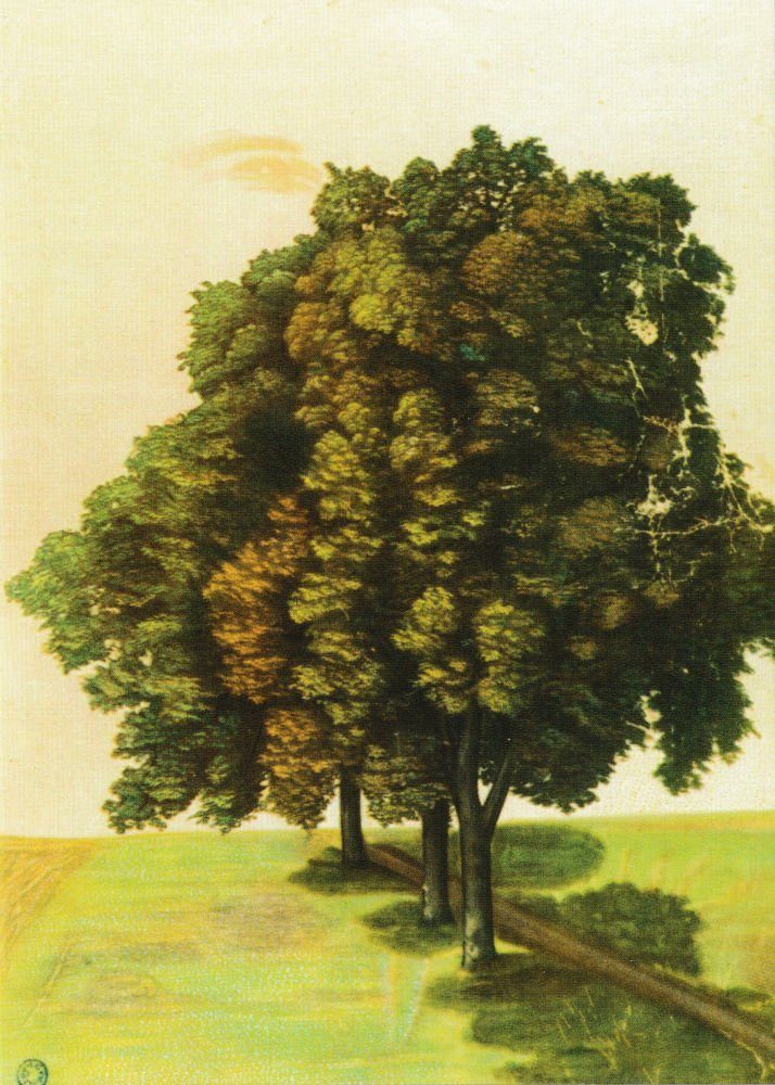 Postkarte Kunstkarte "Drei Dürer Albrecht Lindenbäume"