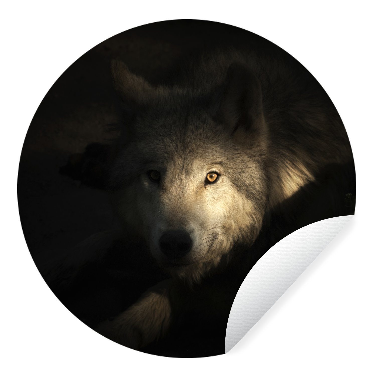 MuchoWow Wandsticker Wolf (1 Dunkel Tapetenkreis Hell St), Wohnzimmer - Tapetenaufkleber, für - Rund, Kinderzimmer