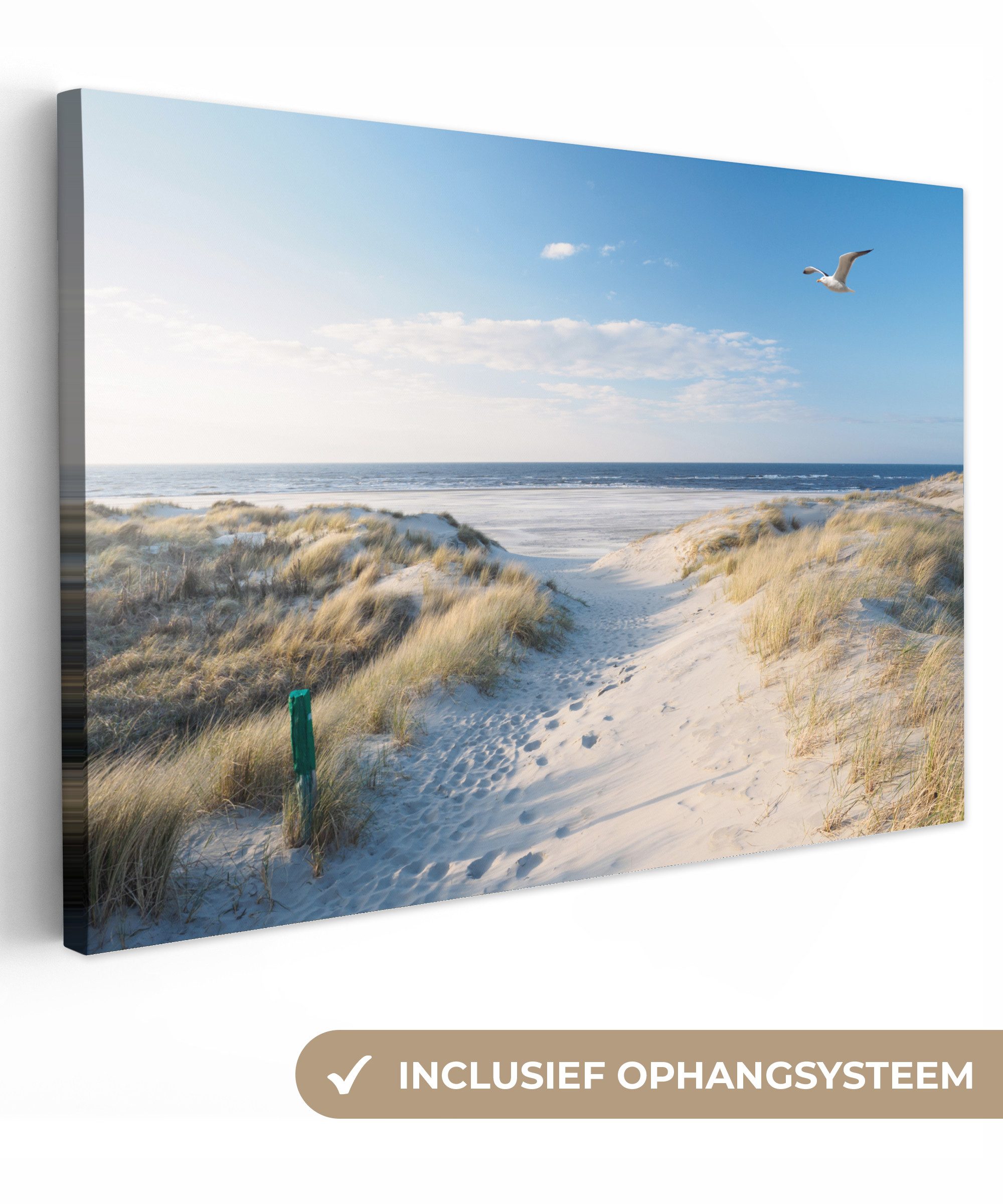 OneMillionCanvasses® Leinwandbild Düne - Möwe - Strand - Meer - Sonne, Fotodruck (1 St), Leinwand Bilder Klein, Wand Dekoration Aesthetic 30x20 cm