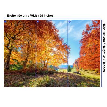 wandmotiv24 Fototapete Herbst Lichtung Bäume, glatt, Wandtapete, Motivtapete, matt, Vliestapete